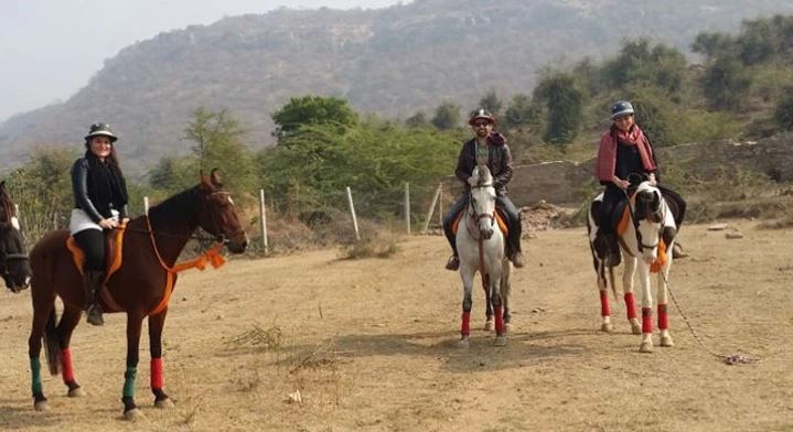 Horse Safari In Ranthambore, Jaipur, Rajasthan